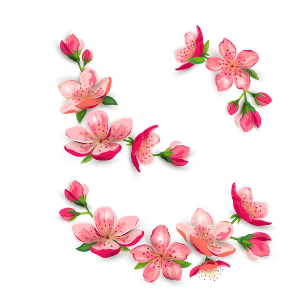 桜の花ベクトルイラストセット 白を基調としたデザイン要素 — ストックベクタ