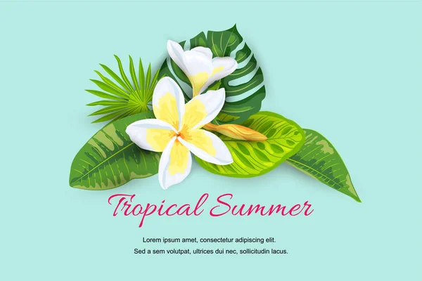 Jungle Leaves Tropical Flower Plumeria Hello Summer Banner Place Text — Stock Vector