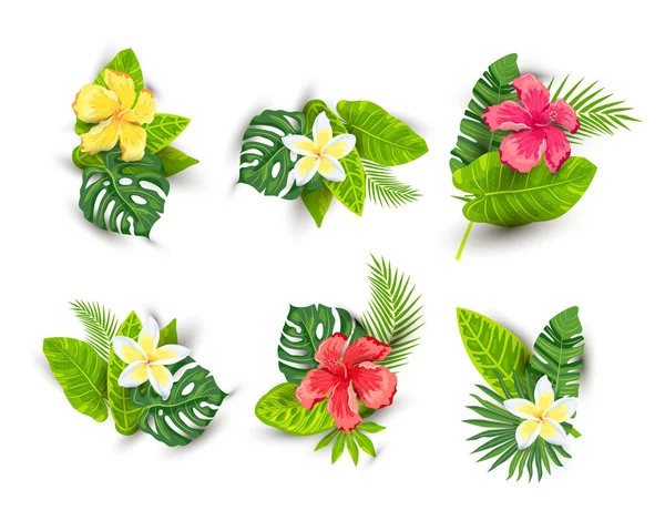 Tropické Exotické Listy Květy Ibišku Plumerie Vektorové Znázornění Izolované Bílém — Stockový vektor