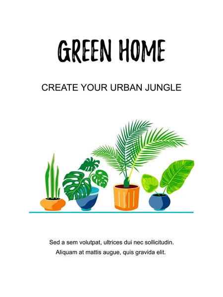 Backdrop Exotic Potted Plants Home Gardening Urban Jungle House Plant — Stock Vector