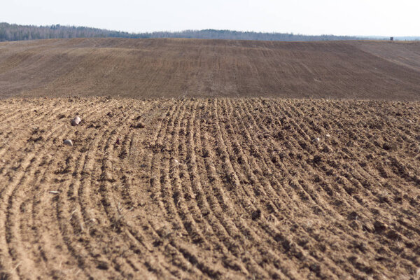 Arable field. Plowed agricultural arable land.