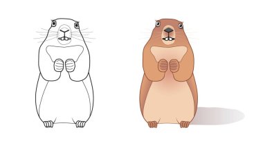 Vector illustration marmot clipart