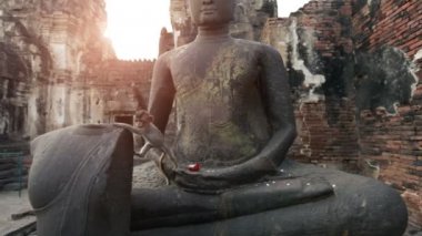 Lopburi, Tayland, şehrin ücretsiz maymun