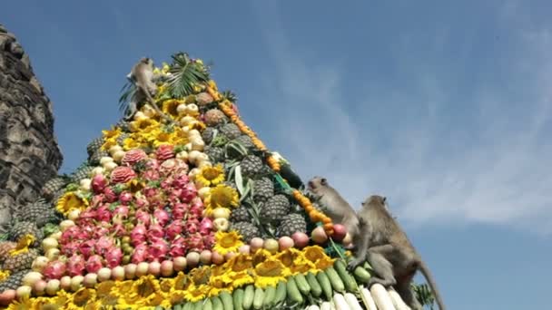 Lopburi, Таїланд, місто безкоштовні мавп — стокове відео