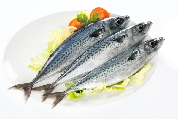 Caballa fresca en un plato — Foto de Stock