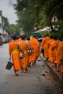 Luang Prabang, Laos geçit veren keşiş sadaka.