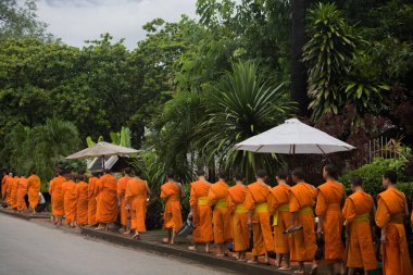 Luang Prabang, Laos geçit veren keşiş sadaka.