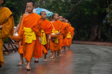 Luang Prabang, Laos geçit veren keşiş sadaka.