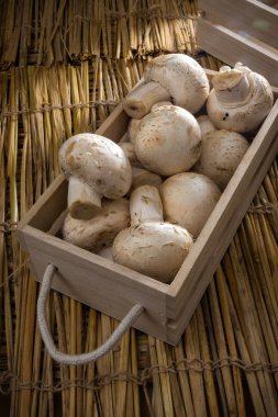 Taze beyaz mantar, petrol de Paris.