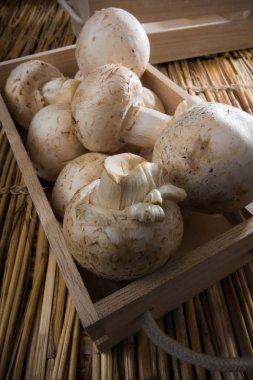 Taze beyaz mantar, petrol de Paris.