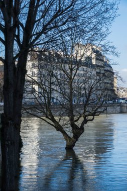 Seviyesinden 6 metre Seine, Paris, Seine Nehri'nin su basmış.