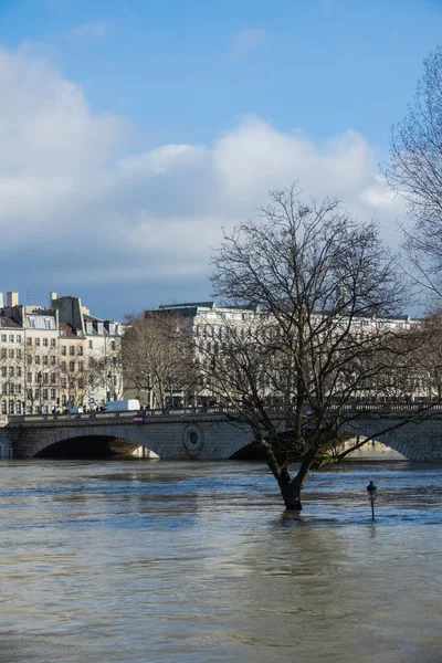 París, Las orillas del Sena están inundadas, el Sena está a 6 metros sobre el nivel . —  Fotos de Stock