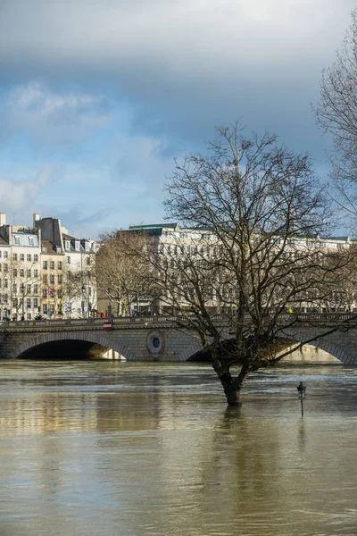 París, Las orillas del Sena están inundadas, el Sena está a 6 metros sobre el nivel . —  Fotos de Stock
