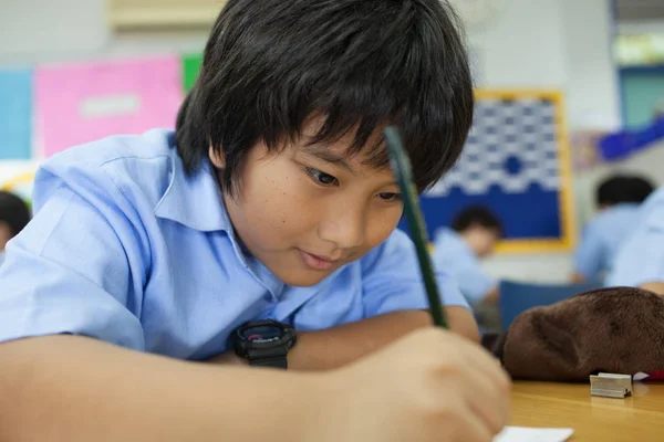 Students do their exercises in the classroom. — Stock Photo, Image