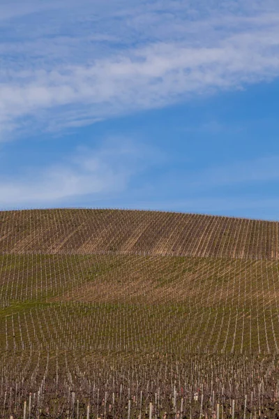 冬の期間中、シャンパーニュ地方のアイ シャンパンぶどう畑 — ストック写真
