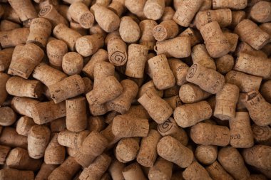 Şampanya mantarları closeup