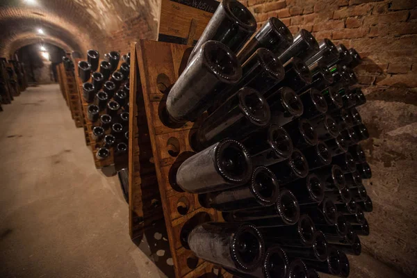 Interior da adega com garrafas de garrafas velhas de champanhe — Fotografia de Stock