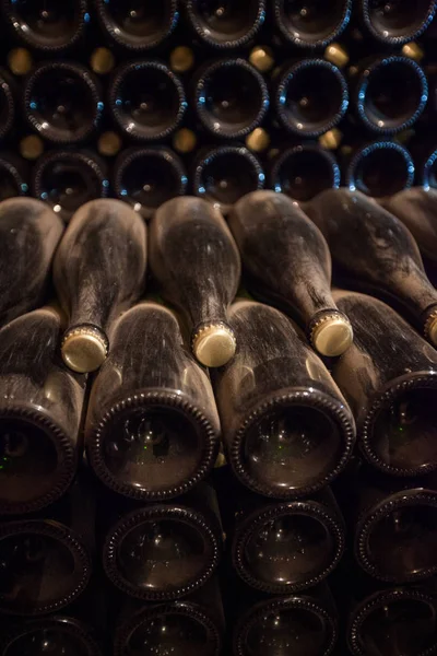 Interno di cantina con bottiglie di vecchie bottiglie di champagne — Foto Stock