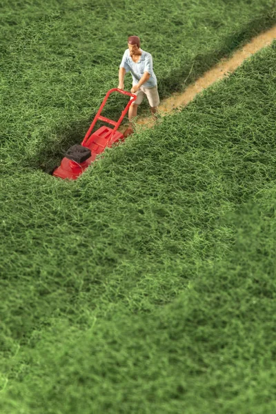 微型人: 一个男人正在修剪他的草坪. — 图库照片