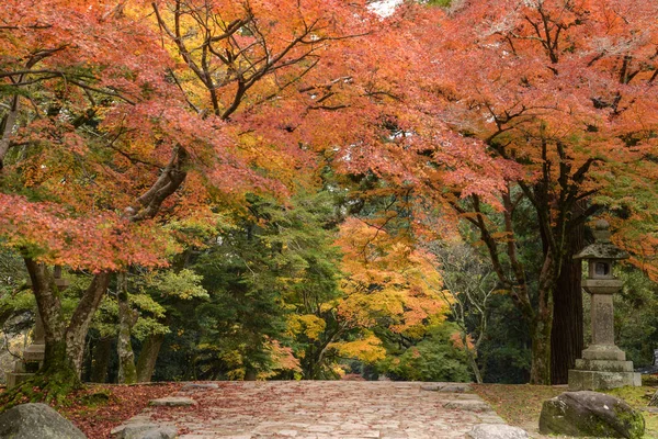 Parc de Nara en automne, Japon — Photo