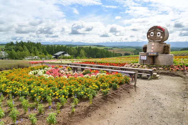 Campo de flores en Biei, Hokkaido, Japón — Foto de Stock