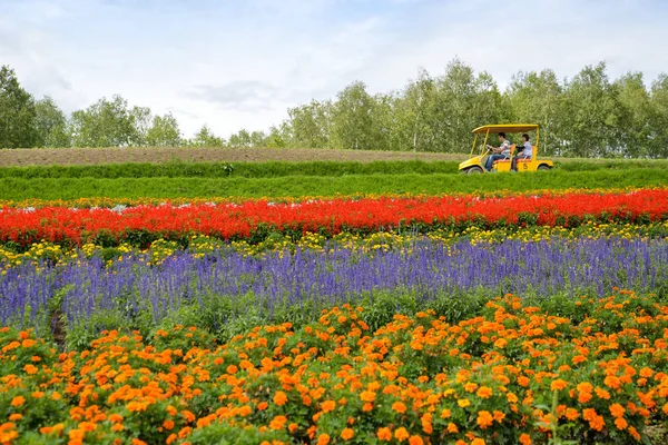 Campo de flores colorido en Biei, Hokkaido, Japón — Foto de Stock