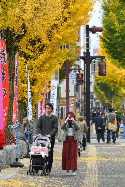 Calle cerca del castillo de Himeji, Japón — Foto de Stock