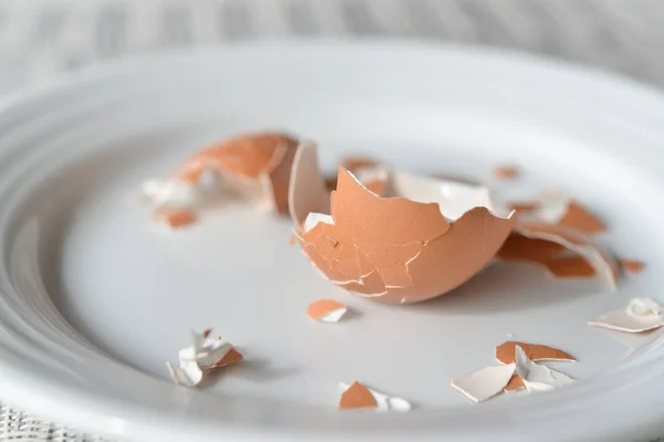 Comer huevo en un plato blanco —  Fotos de Stock