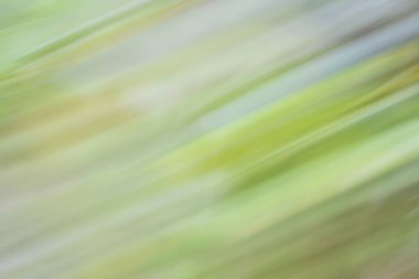 Yeşil arka plan bulanık hareket