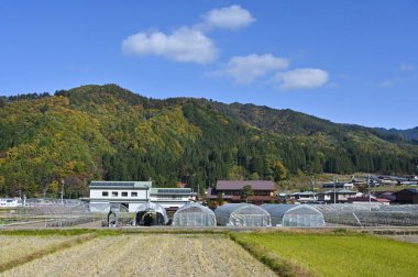 Hida Ekspres treni, Japonya 'dan görüntü