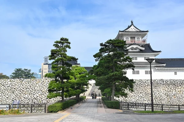 Замок Тояма, Тояма, Япония — стоковое фото