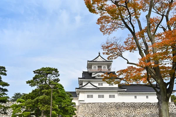 Замок Тояма, Тояма, Япония — стоковое фото