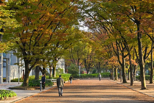 Shirakawa Park cerca del Museo de Ciencias de la Ciudad de Nagoya, Nagoya, Japón —  Fotos de Stock