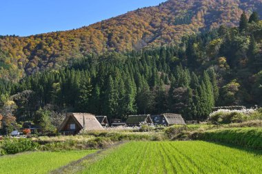 Shirakawa-go, Japonya