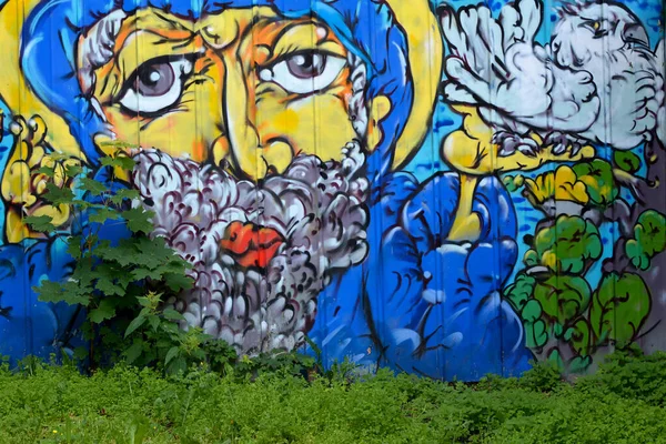 Taşın üzerinde büyük bir gri koni ormanı