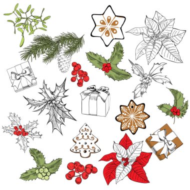 Noel nesne ayarla. El vektör çizim çekilmiş. Xmas koleksiyonu. Tatil kazınmış ökse otu, Hediyelik, çam ağacı, çam çerez, Atatürk çiçeği, holly, Ladin, çam kozalağı,