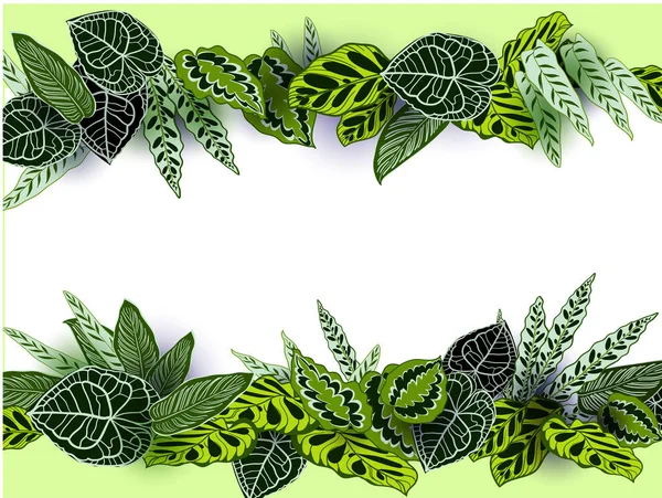 Vector de hojas tropicales .seamless — Vector de stock