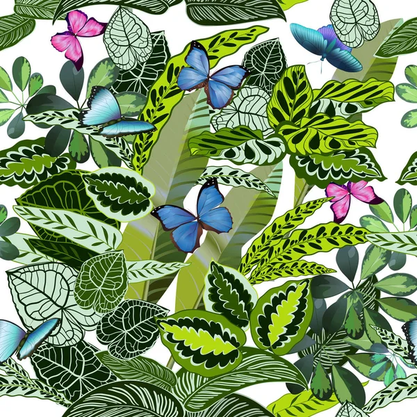 tropikal orman ve flowers.vector