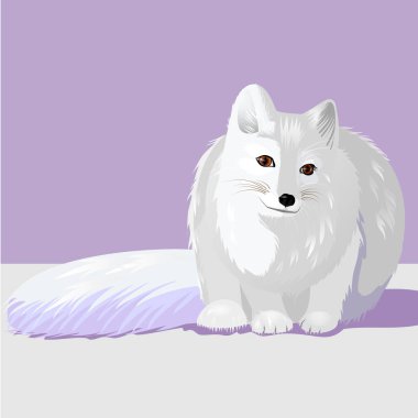 hayvan Kutup tilkisi