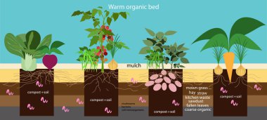 Organik tarım. Organik yatak. Vektör düz illustration.infog