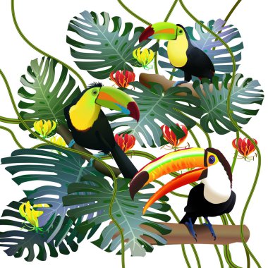 Toucans monstera arasında tropikal ormanlarda bırakır ve gl çiçekler