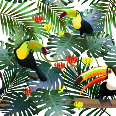 Tropik çiçekler, palmiye ağacı bir çalılık toucan tropik kuş