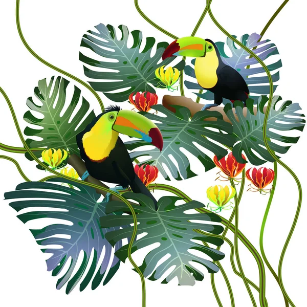 Toucans monstera arasında tropikal ormanlarda bırakır ve gl çiçekler