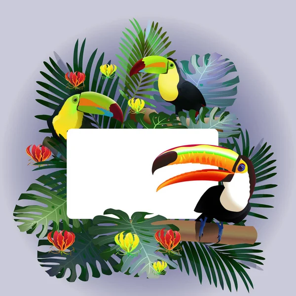 Diseño de Fronteras Tropicales. Ilustración vectorial . — Archivo Imágenes Vectoriales