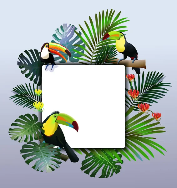 Tropical Border Design. Vector Illustration. — Stock Vector