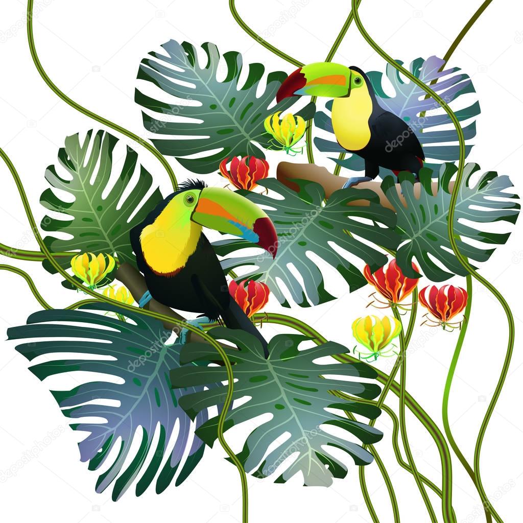 toucans in tropical forests among monstera leaves and flowers gl