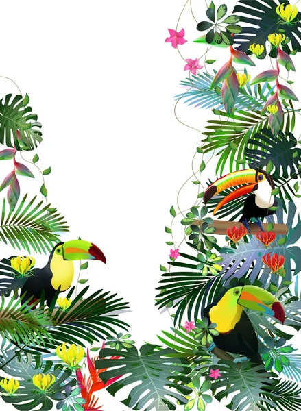 Tucanes en el bosque tropical de flores exóticas.Para post de diseño — Vector de stock