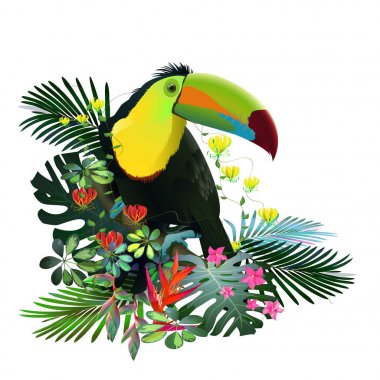 Toucans ve egzotik bitki örtüsü, üzüm, çiçekler arasında tropikal ormanlarda STERLİÇYA. Güney Amerika, Orta Afrika, Güneydoğu Asya ve Avustralya. Muson ormanları, Mangroves.Vector afiş .