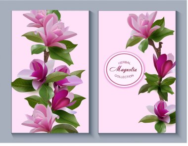 Manolya botanik vektör çizim. Doğal kozmetik, tıbbi bakım ve Ayurveda ürünleri, parfüm için arka plan tasarımı. Kuzey Amerika ve Doğu Asya ada Kunashirmmes.