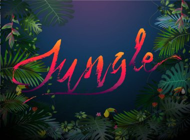 Toucans ve egzotik bitki örtüsü, üzüm, çiçekler arasında tropikal ormanlarda STERLİÇYA. Güney Amerika, Orta Afrika, Güneydoğu Asya ve Avustralya. Muson ormanları, Mangroves.Vector afiş .